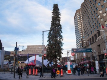 У уродливой рождественской елки в Монреале появился собственный Twitter