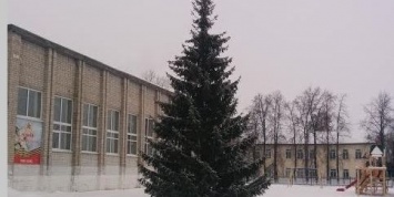 В тюменском селе чиновники спилили новогоднюю елку в палисаднике у старушки