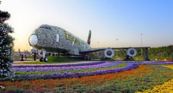 Цветочный Airbus A380 попал в Книгу рекордов Гиннеса (фото, видео)