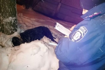 В Харькове патрульные застрелили собаку, напавшую на ребенка и старушку (ФОТО)