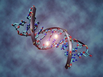 В суде США за технологию изменения генома