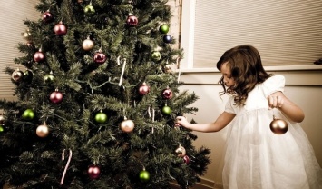 Новый год: сколько будет стоить праздничная елка
