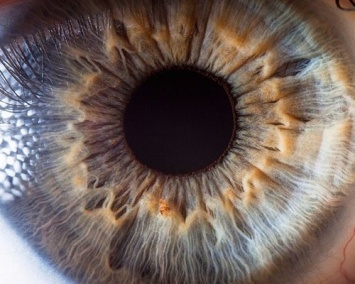 Ученые установили пагубное влияние лекарств для глаз на почки