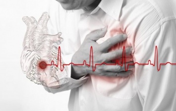 Полимерный пластырь способен «заклеить» сердце после инфаркта