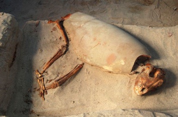 Найдено античное кладбище домашних животных