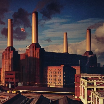 В США имя Трампа на небоскребе предложили закрыть свиньями с обложки Pink Floyd