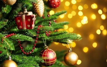 Воронежцы могут остаться без новогодней елки на площади Ленина