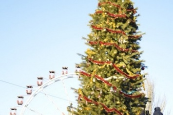В одесском парке установили новогоднее дерево высотой в 5 этажей (ФОТОФАКТ)