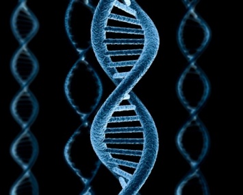 Ученые нашли новый механизм защиты ДНК