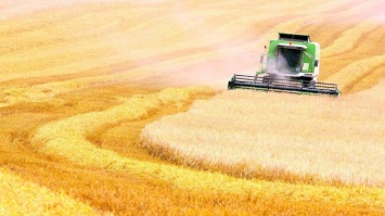 Украинские аграрии будут платить каждую вторую гривну на счета российских компаний