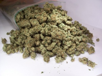 У жителя Ставрополья нашли мешок марихуаны