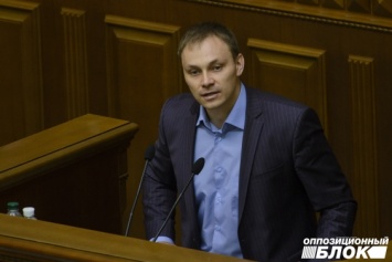 Александр Долженков: Законопроект о спецконфискации грубо нарушает Конституцию Украины и нормы международного права
