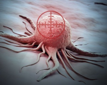 Ученые: Деление раковых клеток можно остановить