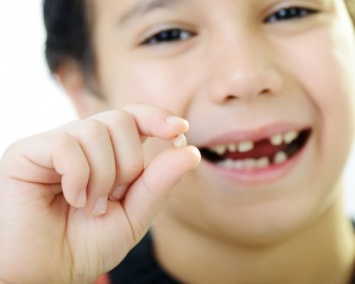 Ученые рассказали, зачем хранить выпавшие зубы