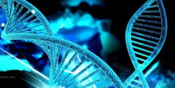 Ученые из США выяснили, как гены влияют на характер человека