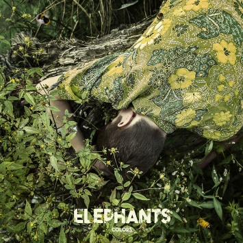 Группа The Elephants выпустила дебютный альбом