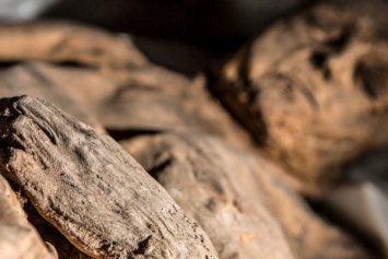 Детская мумия XVII века раскрыла тайну вируса оспы