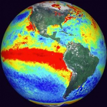 Кораллы помогли узнать ученым об изменениях Эль-Ниньо