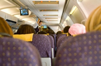 Назван неожиданный вред от сокращения пространства между сиденьями в самолете