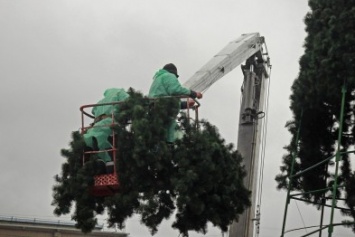 В Северодонецке устанавливают городскую елку (фото)