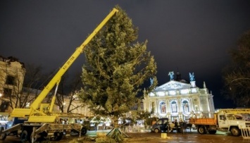 Во Львове установили новогоднюю елку
