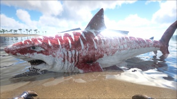 В Мексике нашли останки гигантской 18-метровой акулы