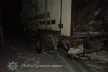 На Сумщине задержали грузовик с елками (ФОТО)