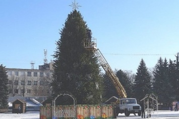 Главная елка Павлограда почти готова к праздничному открытию