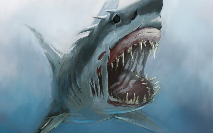 Ученые: В зубах вымершей акулы мегалодона нашли зубную пасту