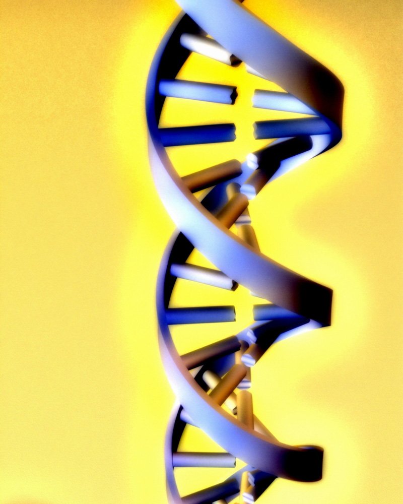 Ученые: Одна бессонная ночь может навсегда изменить гены тканей человека