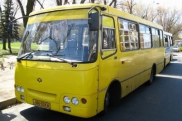 В Черноморске возможно появиться маршрутное такси для студентов