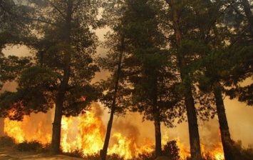 В Чили из-за пожара объявили "красный" уровень опасности