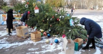 На Киевщине упала главная елка города (Фото)