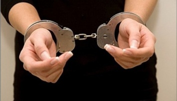 За пикеты в поддержку Дадина в Москве задержали двух активисток