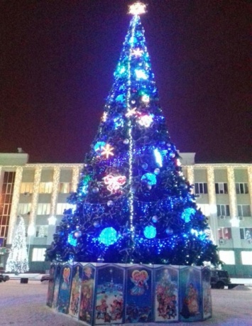 В Украине определили самую дорогую новогоднюю елку
