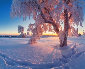 МЧС: В Пермском крае ожидается аномальное похолодание до -45 градусов