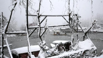 Индию заметает снегом (фото)