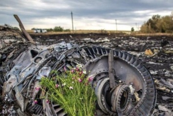 Катастрофа MH17: в Нидерландах задержали журналиста с обломками Boeing