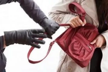 В Бердянске задержали рецидивиста, вырывавшего сумки у женщин