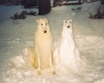 Запорожцы хвастаются своими снеговиками (ФОТО)