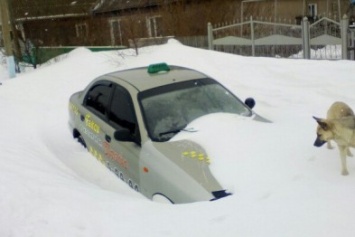 Снежный плен: Самые впечатляющие фото зимы в Одесской области (ФОТО)