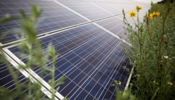 Возобновляемая энергетика: инвестпотенциал Украины представят членам IRENA