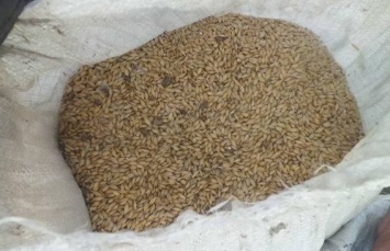 На Херсонщине семейная пара похитила тонну зерна