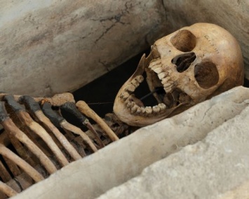В скелете женщины эпохи Византии обнаружены бактерии стафилококка