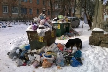 Ситуация с мусором в Херсоне «остается напряженной» (документы)