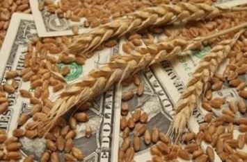 Зачем двум БПП-шникам крышевать офшорных миллионеров агрохолдинга «Агрейн»