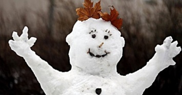 В Германии машинист принял снеговика на путях за человека