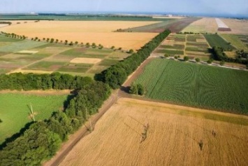 Аграриев в Украине ждет введение оборота земель сельхозназначения