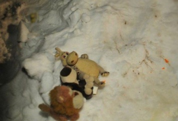 На запорожском курорте детская игрушка напугала мужчину с собакой