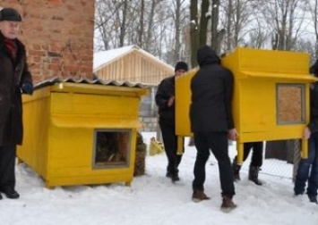 В Чернигове бездомные собачки получили новое жилье